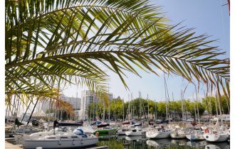 Actualités d'octobre au Palais des Congrès de Lorient